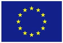 EU Flag